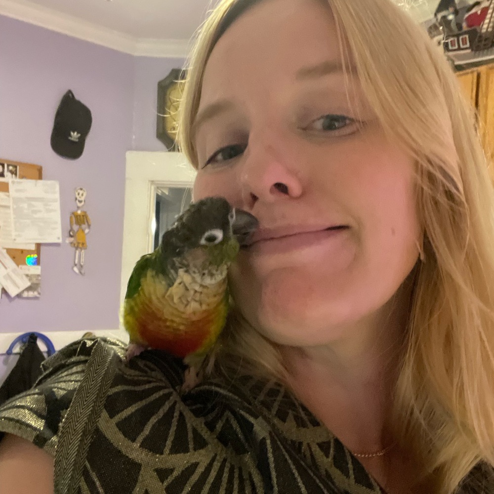 Meet your Posher, KC